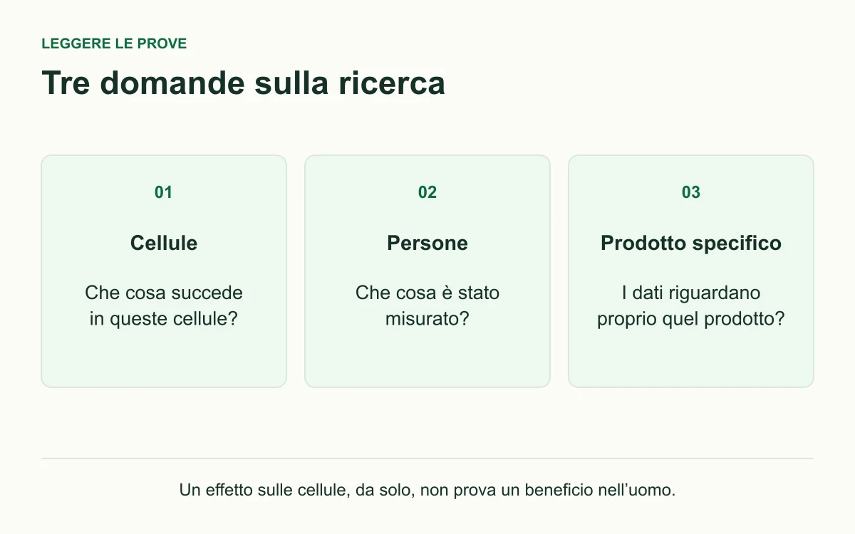 Tre domande distinte: che cosa succede nelle cellule, che cosa viene misurato nelle persone e se i dati riguardano un prodotto specifico.