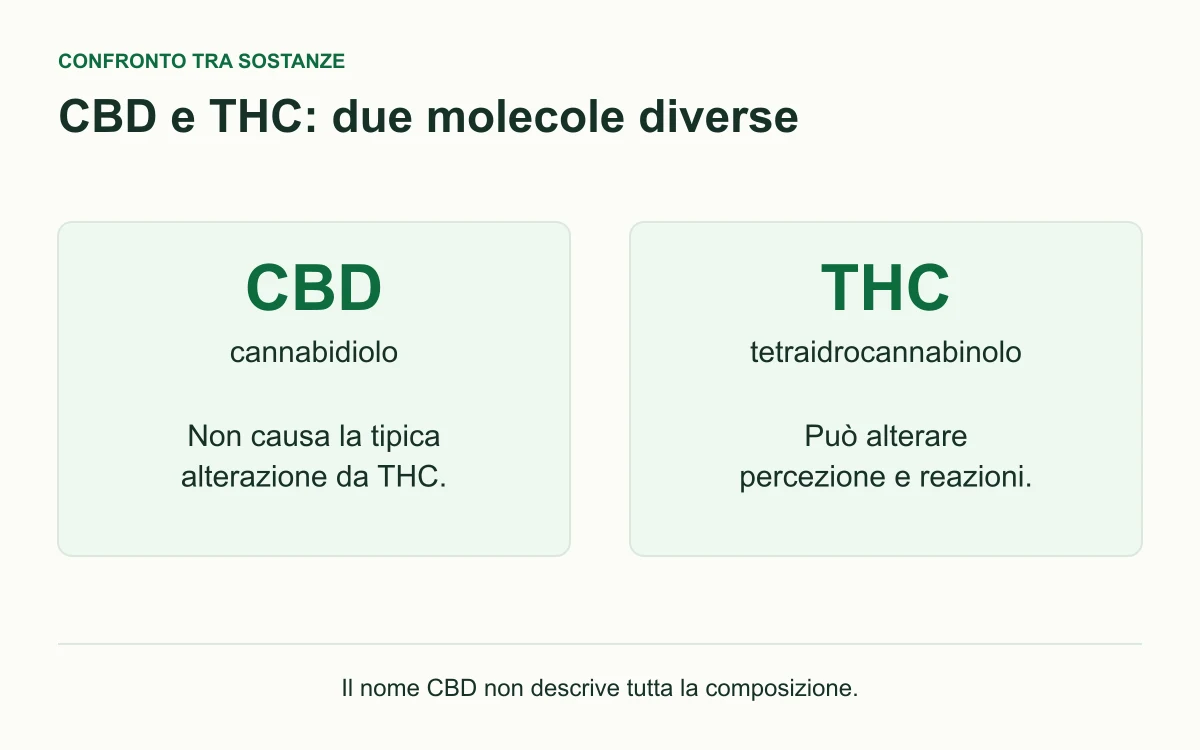 CBD e THC sono molecole diverse: il CBD non causa la tipica alterazione associata al THC; il THC può alterare percezione e reazioni.